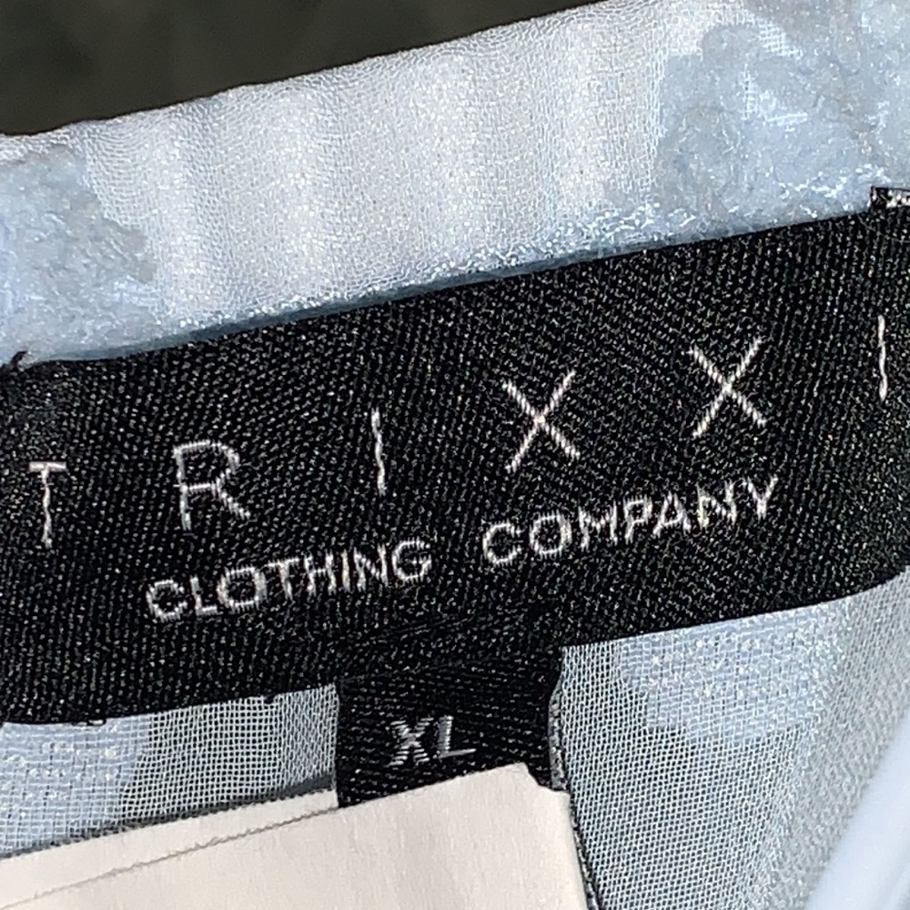 Trixxi Baby Blue Swiss Dot Chiffon Mini Dress - Picture 6 of 6